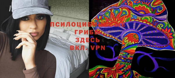 шишки Пролетарск