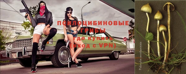 гидропоника Арсеньев