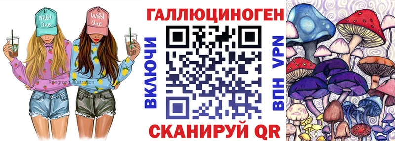 Галлюциногенные грибы мухоморы  купить наркотик  Суджа 